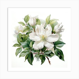 Clematis Art Print