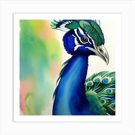 Peacock Art 1 Art Print