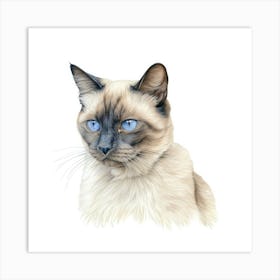 Colourpoint Cat Portrait 1 Art Print