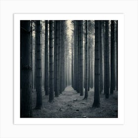 Dark Forest 118 Art Print