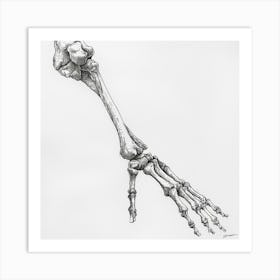 Skeleton Hand Art Print