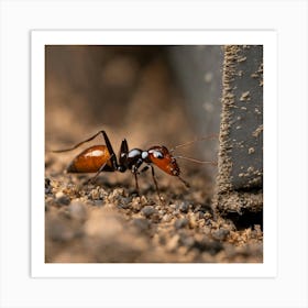 Ant On The Ground 1 Art Print