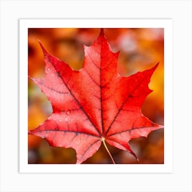 Maple Leaf Art Print