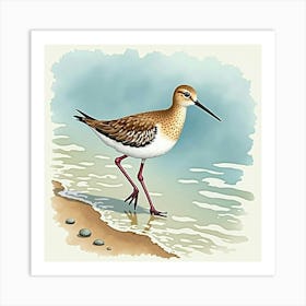 Sandpiper 4 Art Print