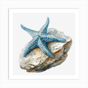 Starfish On Rock Art Print