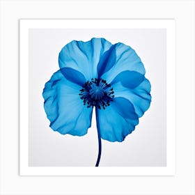 Blue Poppy 1 Art Print