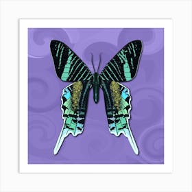 Mechanical Butterfly The Urania Leilus On A Purple Background Art Print