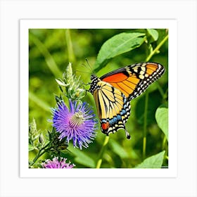 Butterflies Insect Lepidoptera Wings Antenna Colorful Flutter Nectar Pollen Metamorphosis (13) Art Print