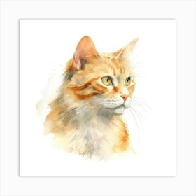 Honeybear Cat Portrait Art Print