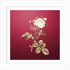 Gold Botanical White Provence Rose on Viva Magenta n.2753 Art Print