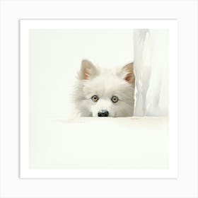 Samoyed 3 Art Print