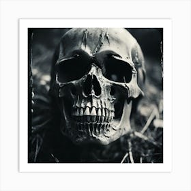 Skull In The Grass Art Print