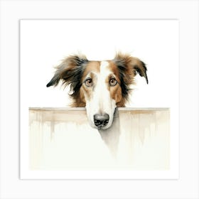 Collie Dog 3 Art Print