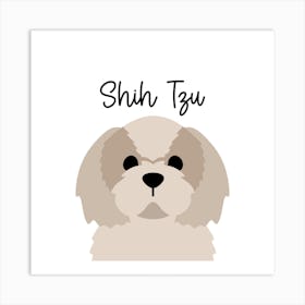 Shih Tzu Art Print