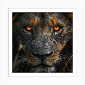 Portrait Of A Lion Art Print