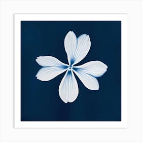 Flower On A Blue Background 1 Art Print