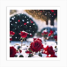 Sparkling Light and Falling Petals in the Winter Rose Garden Art Print