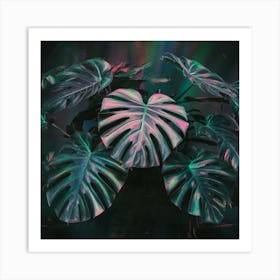 Plants Wall Art Deco Art Print