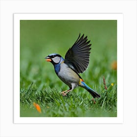 Bird Natural Wild Wildlife Tit Sparrows Sparrow Blue Red Yellow Orange Brown Wing Wings (44) Art Print