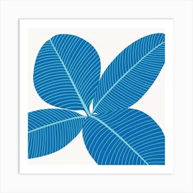Rubber Plant Blue Square Art Print