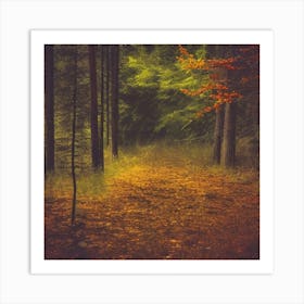 Autumn In The Forest Photo Art Print