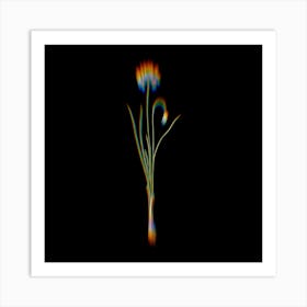Prism Shift Autumn Onion Botanical Illustration on Black Art Print