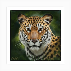 Jaguar Art Print