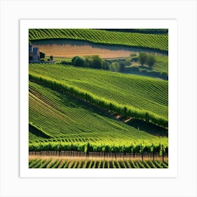 Vineyards In Tuscany 17 Art Print