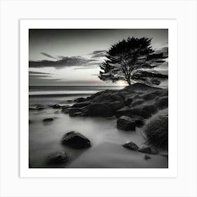 Lone Tree 33 Art Print