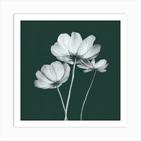 White Flowers 1 Art Print