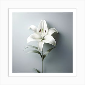 White Lily 4 Art Print