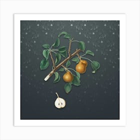 Vintage Seckel Pear Botanical on Slate Gray Pattern n.0169 Art Print