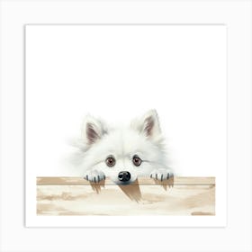 Pomeranian Dog Art Print