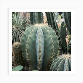 Cactus 3 Art Print