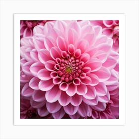 Pink Dahlia Flower 1 Art Print