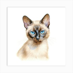 Tonkinese Mink Cat Portrait Art Print