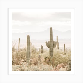 Southwest Scenery Square Art Print