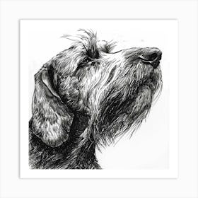 Grand Basset Griffon Vendeen Dog Line Sketch 2 Art Print