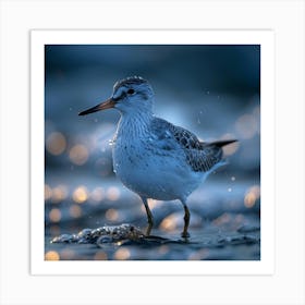 Sandpiper 4 Art Print