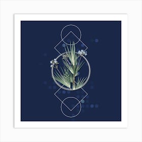 Vintage Blue Stars Botanical with Geometric Line Motif and Dot Pattern Art Print