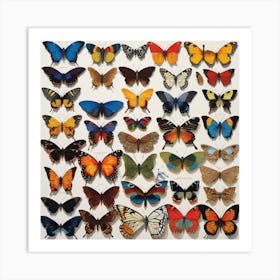 Collection Of Butterflies Art Print