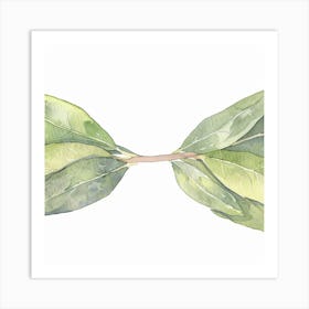 Sage Leaves Art Print