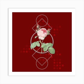 Vintage Pink Cabbage Rose Botanical with Geometric Line Motif and Dot Pattern Art Print
