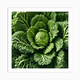 Frame Created From Savoy Cabbage Sprouts On Edges And Nothing In Middle Trending On Artstation Sha (2) Art Print