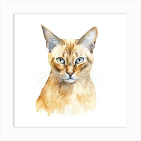 Malayan Cat Portrait Art Print