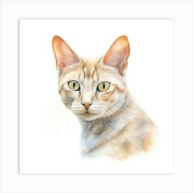 Colorpoint Shorthair Cat Portrait 3 Art Print