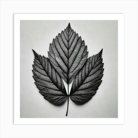 Black Leaf 1 Art Print