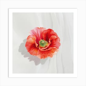 Poppy Ideo3 Art Print