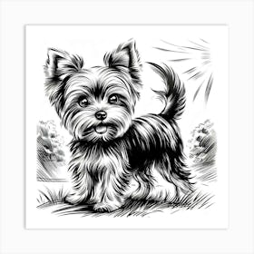 A yorkie dog 3 Art Print