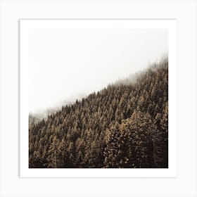 Thick Forest Landscape Square Art Print